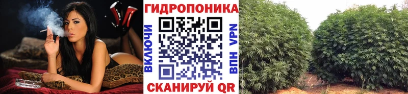 Купить закладку Амфетамин Конопля Cocaine Меф ГАШИШ APVP Борзя