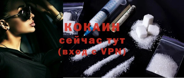 молекула духа Елизово