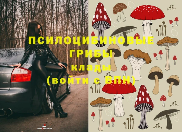 молекула духа Елизово