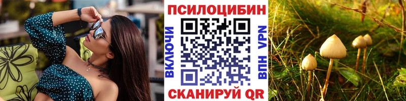 Псилоцибиновые грибы прущие грибы  Купить где  Борзя 